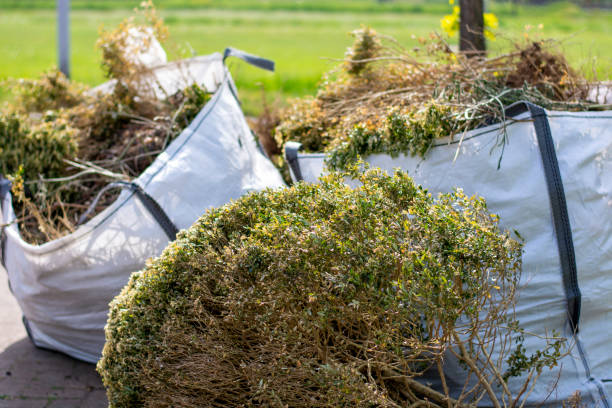 Best Local Junk Hauling  in Swisher, IA